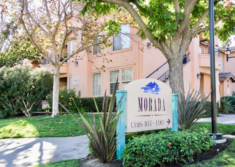 Morada Rancho Bernardo CA